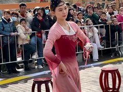 -茯茶镇