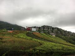 -呀诺达热带雨林