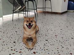 -FULL MOON满月咖啡