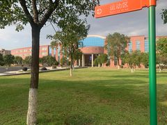 -中加枫华国际学校