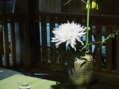 -扫雪煮茶(西村店)