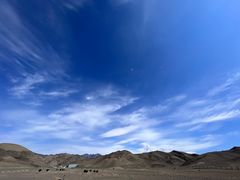 -新疆天山野生动物园