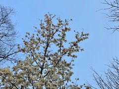-白塘生态植物园