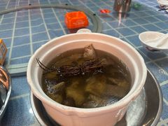 -石岐乳鸽村(南海第三分店)