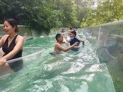-花水湾第一村温泉大酒店