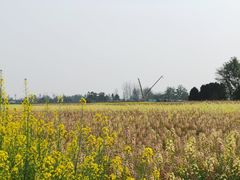 -中国天府农业博览园