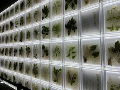 -广东中医药博物馆