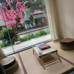 -榕树上·瑜伽普拉提