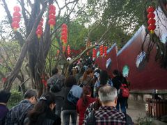 -丰都鬼城名山景区