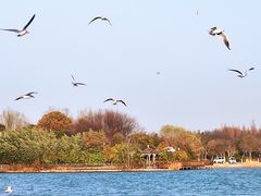 -云龙湖旅游景区