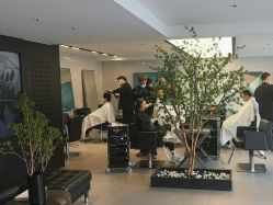 点击看大图 -付军剪艺JF ProSalon