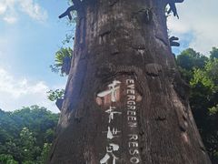 -青青世界