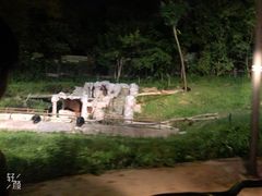 -清迈夜间动物园