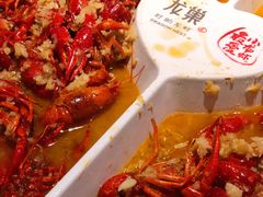 -龙巢盱眙龙虾·牛蛙·烧烤宵夜(八卦岭店)