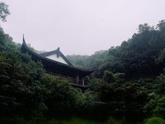 -龙井村