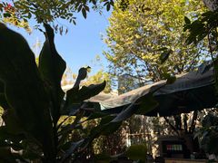 -豆舞咖啡(民乐路店)