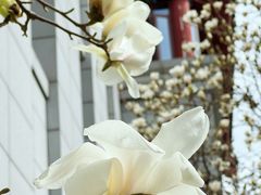 -中国中医科学院西苑医院(本部)