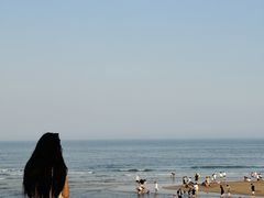 -日照海滨国家森林公园