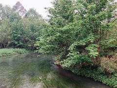 -桤木河湿地公园