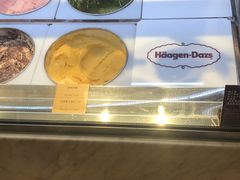 -哈根达斯(西安北郊店)