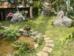 -上海鲜花港