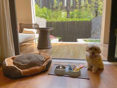 -上海崇明金茂凯悦酒店