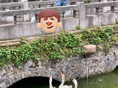 -苏州文庙(姑苏区)