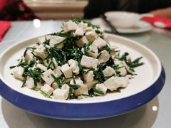 沙葱拌豆腐-宁夏国强手抓羊肉·清真菜(未央路凤三店)