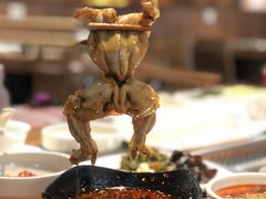 辣过瘾牛蛙-哇哇叫