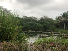 -白沙门生态公园