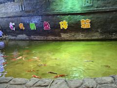 -威海华夏城景区