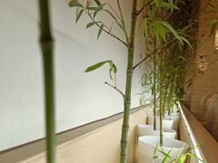 -十二舍·湯物素煮(江泰潤政店)