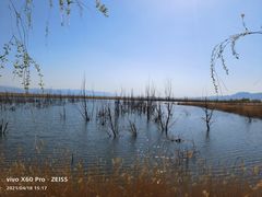 -野鸭湖国家湿地公园