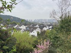 -树山生态村