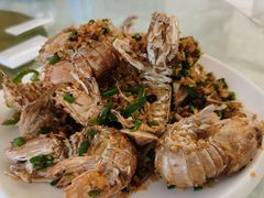 避风塘濑尿虾-阳江餐厅·30年老字号·粤菜海鲜大排档