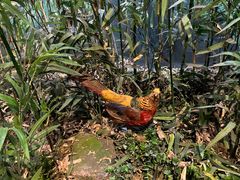 -陕西自然博物馆