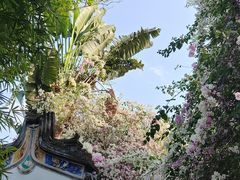 -深圳国际园林花卉博览园