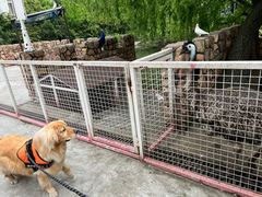 -J Create城市露营咖啡·简餐·宠物(上海动物园店)