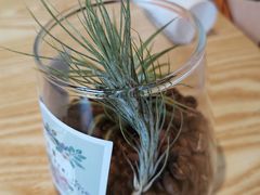 -ZING COFFEE 镜咖啡