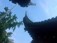 -上海白云观