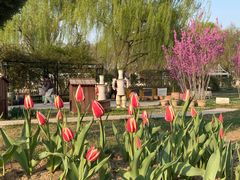 -石家庄市植物园