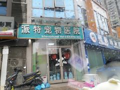 -派特宠物医院(圆融广场店)