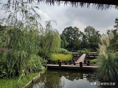 -成飞公园