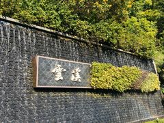 -云溪植物园