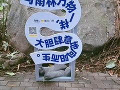 -呀诺达热带雨林