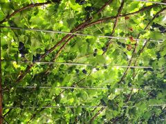 -如意农家院(胡关路店)