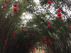 -成都大熊猫繁育研究基地