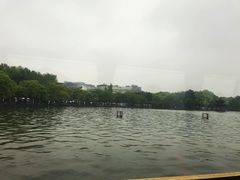 -西湖游船