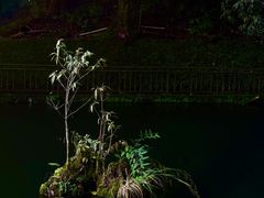 -云南屏边大围山国家公园