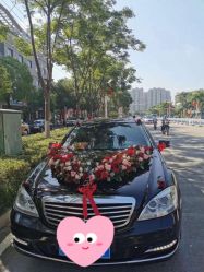 -蚂蚁婚车